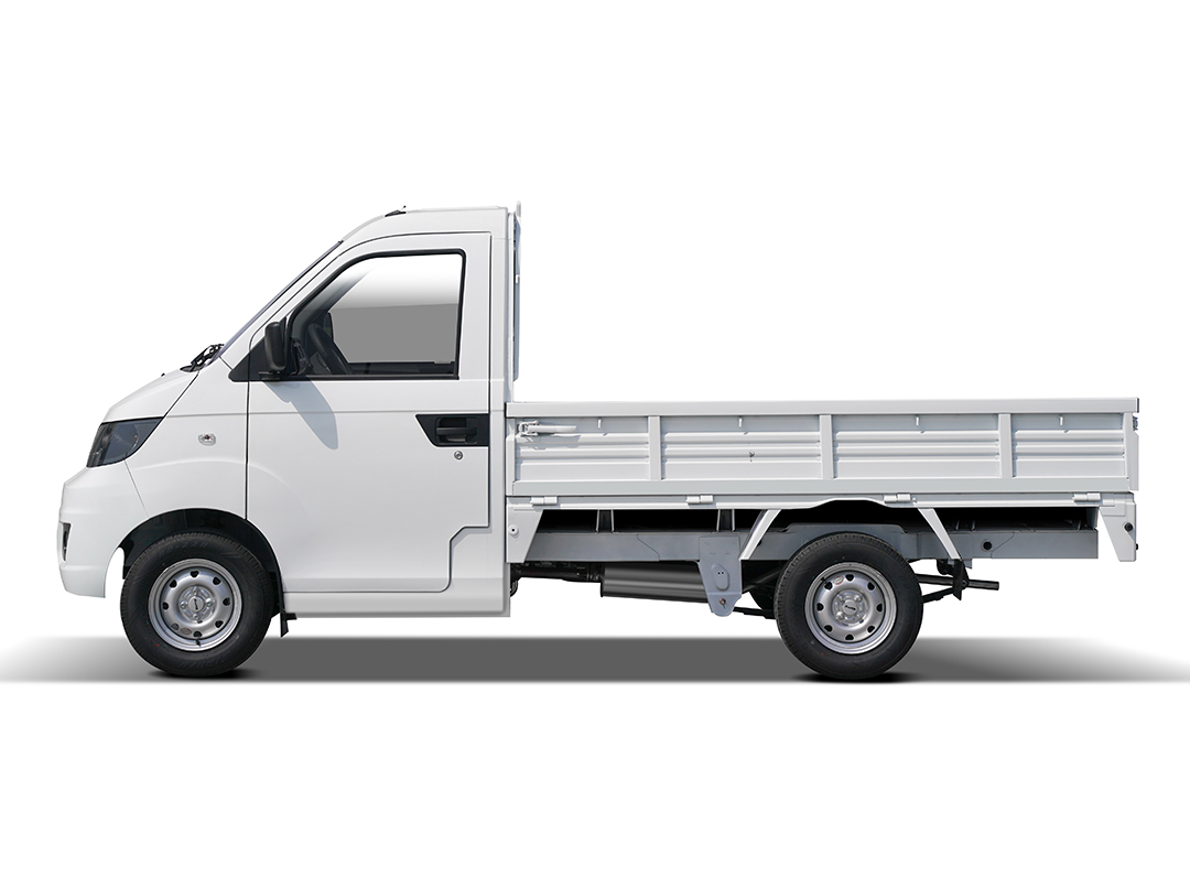 Karry Light Cargo Truck X2 8.2 pies