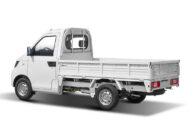 Karry Light Cargo Truck X2 8.2 pies