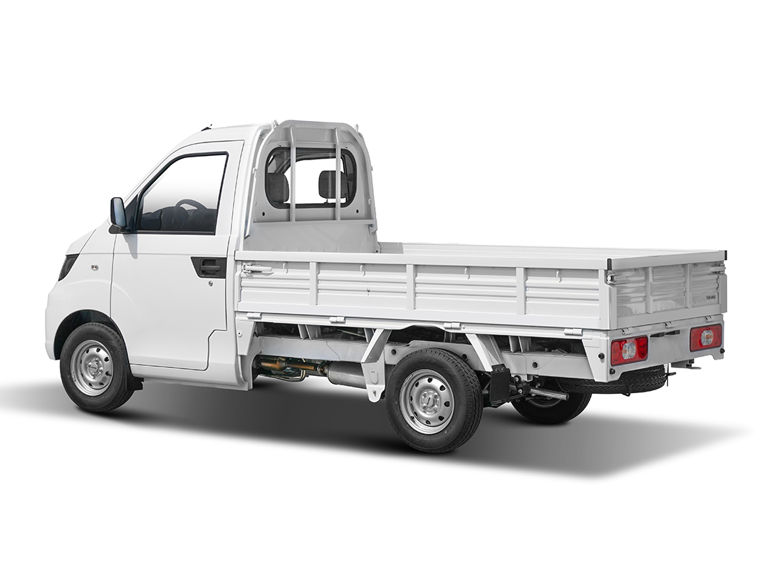 Karry Light Cargo Truck X2 8.2 pies
