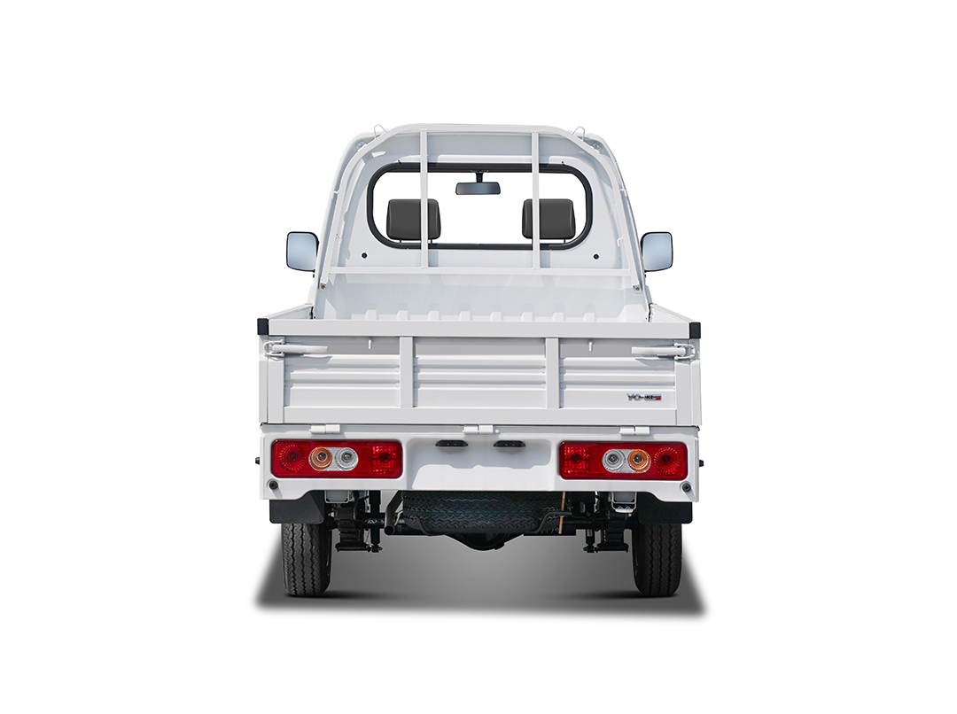 Karry Light Cargo Truck X2 8.2 pies